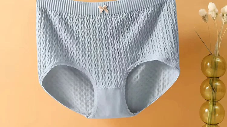 plus size high waist women's underwear