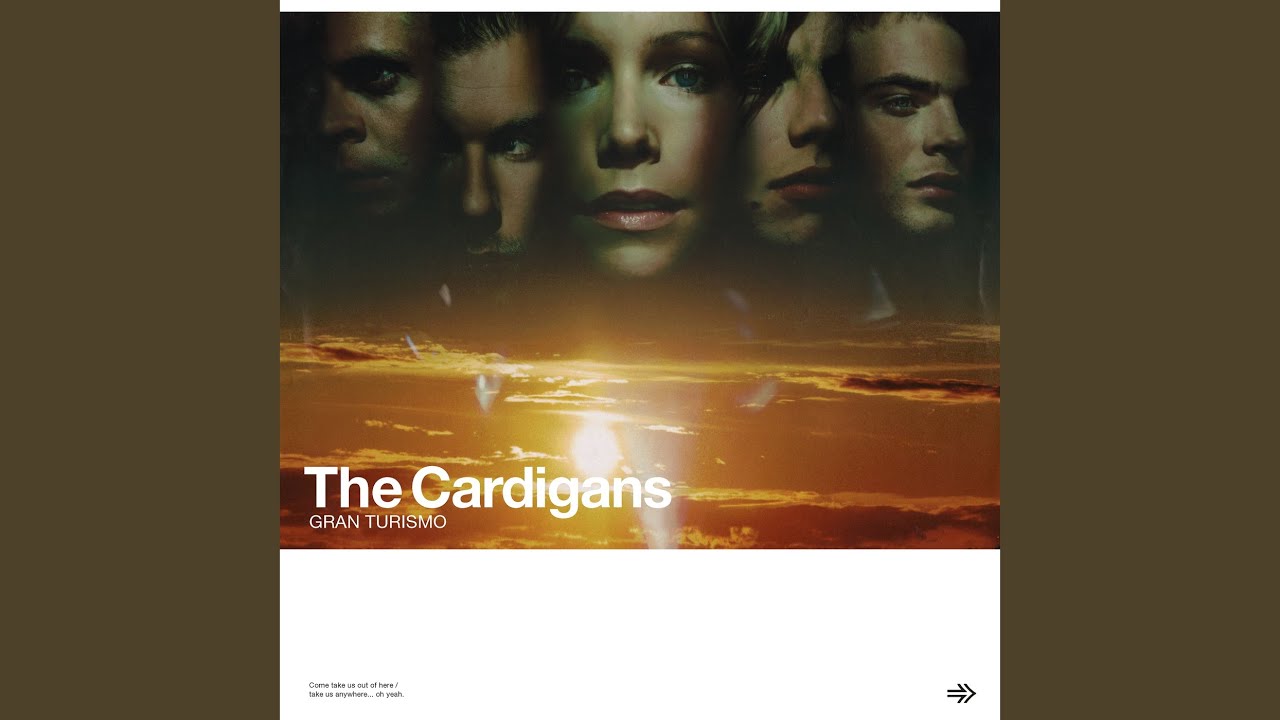 Exploring The Melodies: A Deep Dive Into The Cardigans' Junk Of The Hearts Album