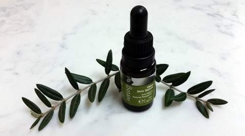 Olive Skin Serum Is One Of The Best Natural Serums