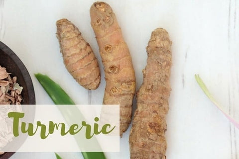 Turmeric