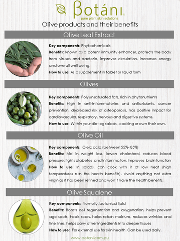 olive oil, olive leaf, olive squalene, botani