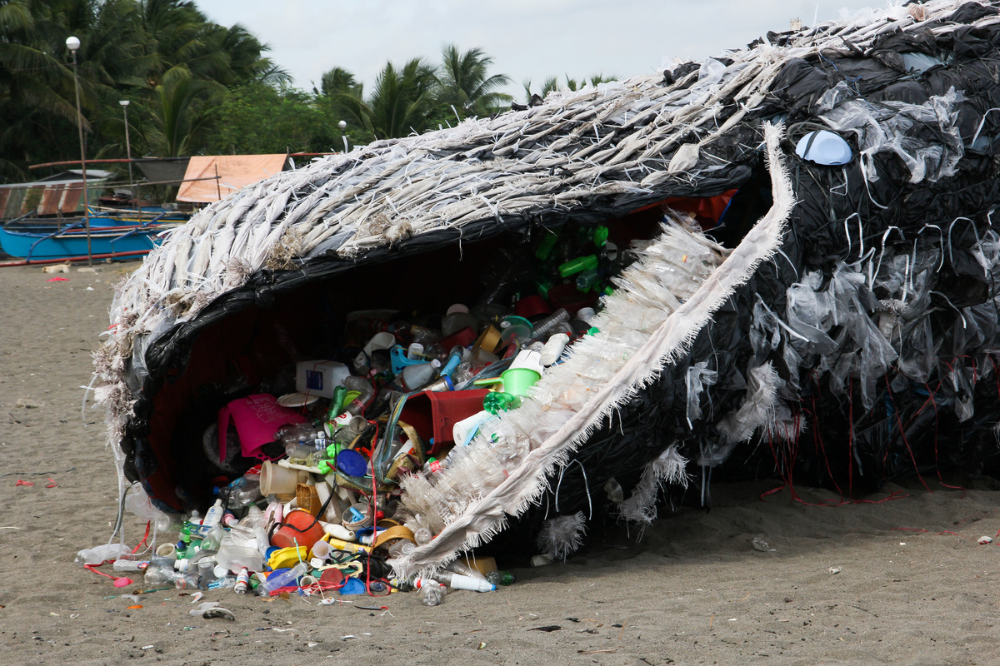 The Ocean Plastic Crisis Greenpeace International