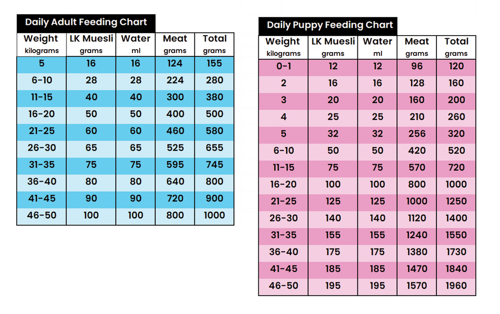 Feeding Charts – Lenny's Kitchen