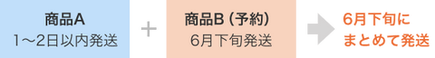 1月2日に発送可能な商品と3月中旬に発送予定の予約商品を合わせてお買いげ頂いた場合、3月中旬に合わせて発送となります。