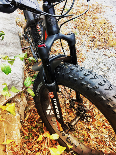 beaver guard mudguard