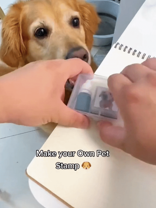 Custom-Made Pet Portrait Stamp DIY For Dog Figure Seal Personalized Cat  Doggy Cuztomized Memento Chapter for Bookkeeping