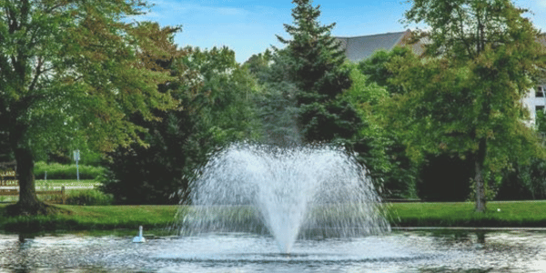 DA-20 Fountain Shown With Geese And Trees On Water