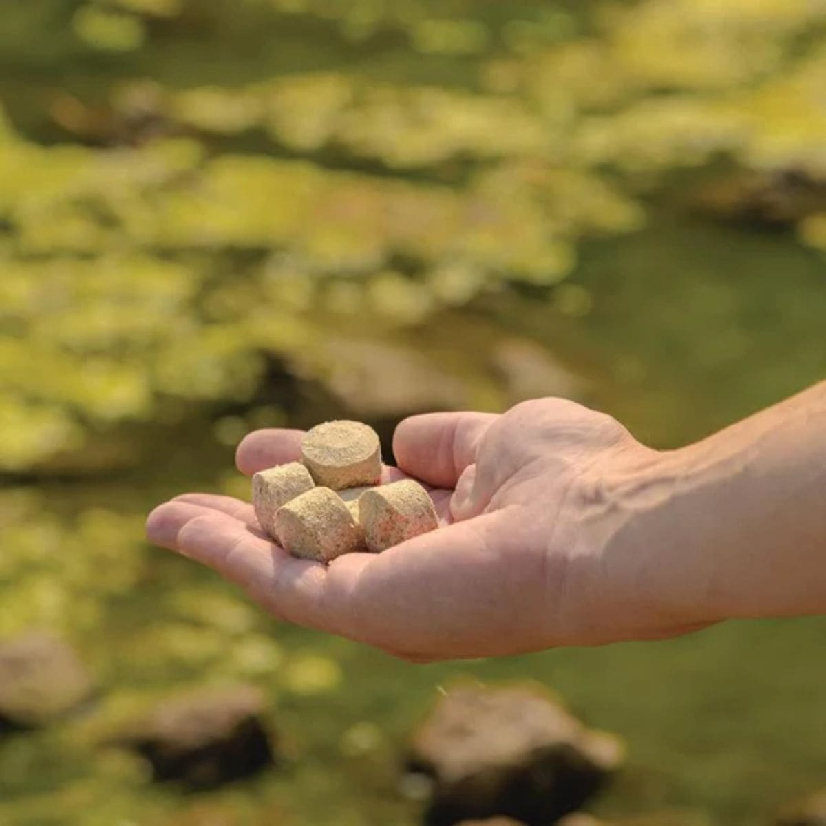 Hand with beneficial probiotics in it ready to be put in the pond Kasco Pond Probiotics