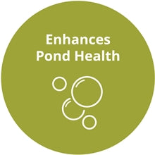 Kasco Enhances Pond Health