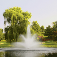 Kasco J Series Pond Fountain - Balsam Spray Pattern