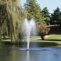 Kasco J Series Pond Fountain - Sequoia Spray Pattern