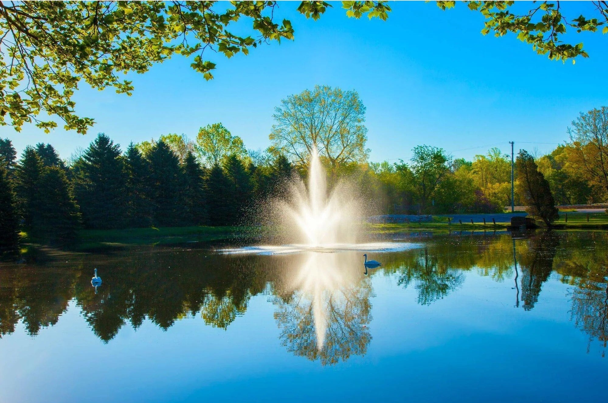 Scott Aerator Cambridge Pond Fountain  On Water Display