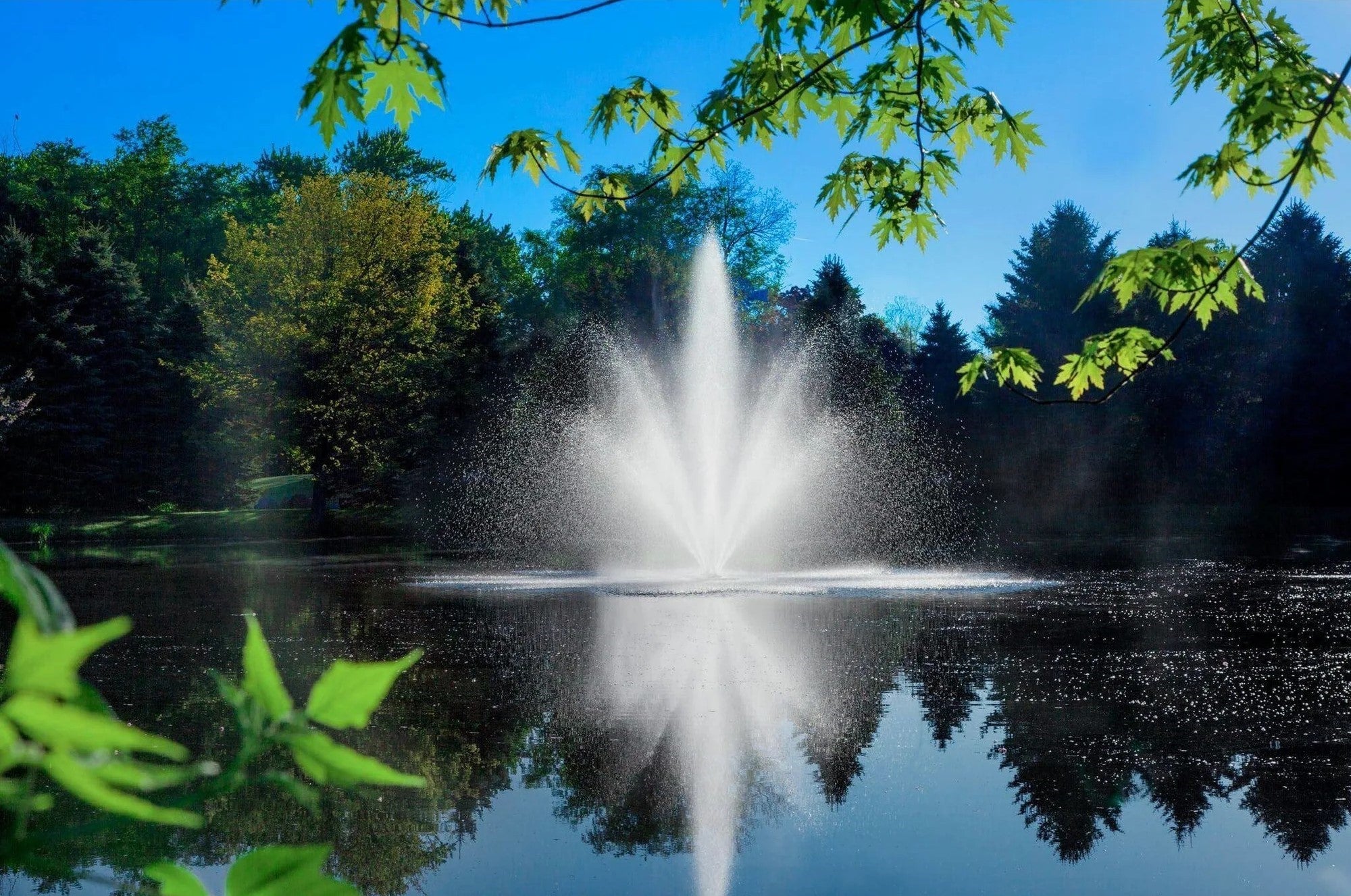 Scott Aerator Cambridge Pond Fountain  On Water Display with Trees at the background