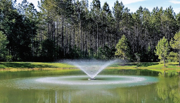 Vertex Vertical FunnelJet Fountain On Green Water with Trees at the Background