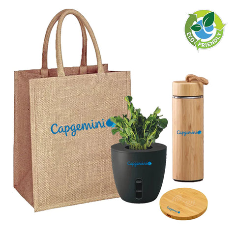 corporate gift ideas - Eco friendly corporate gifts