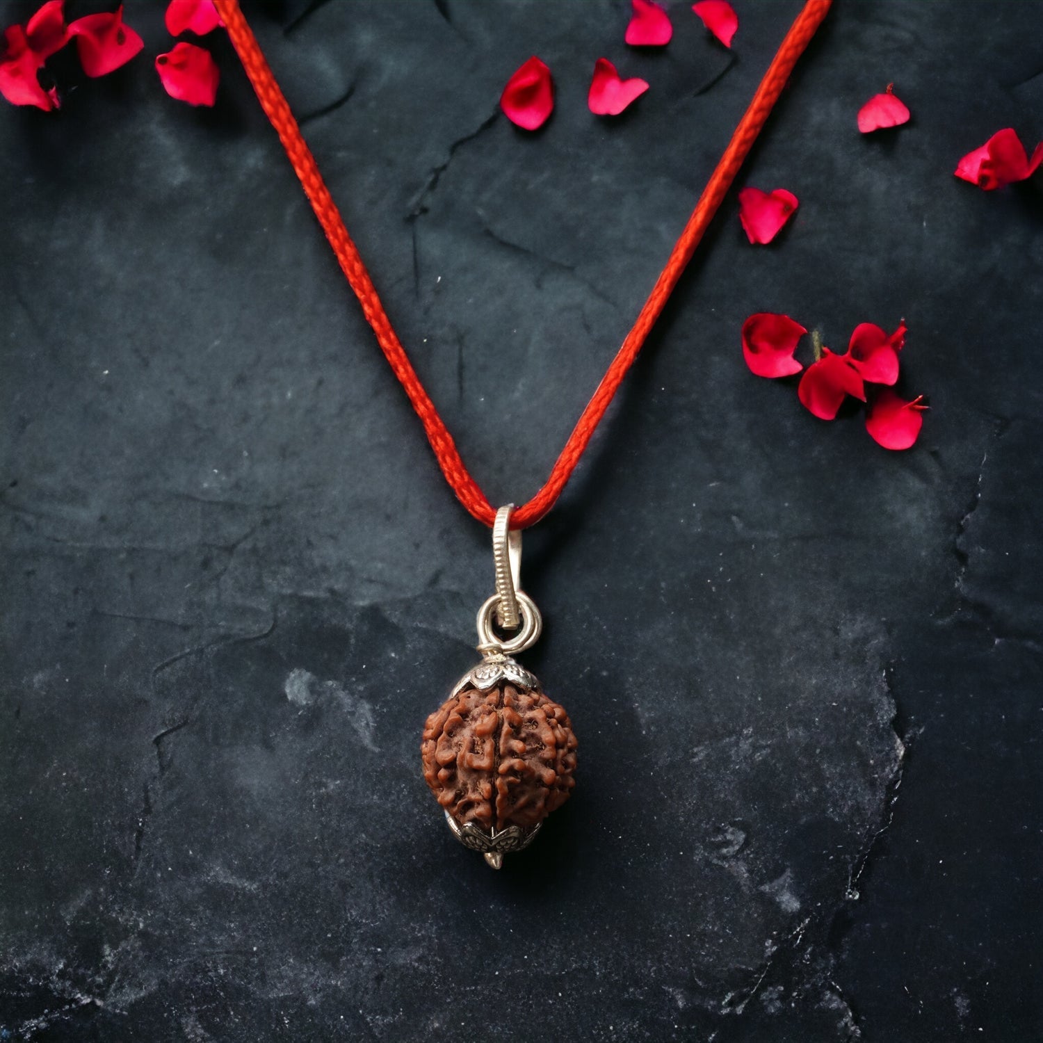 7 Mukhi Rudraksha1 (3).jpg__PID:82b2b100-dc4f-4f2a-9331-a473f885dee4