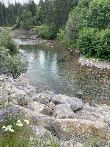 Mill Creek in Southern Alberta