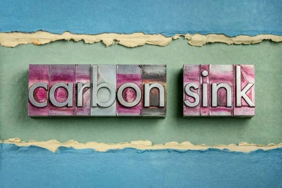 Carbon Sink