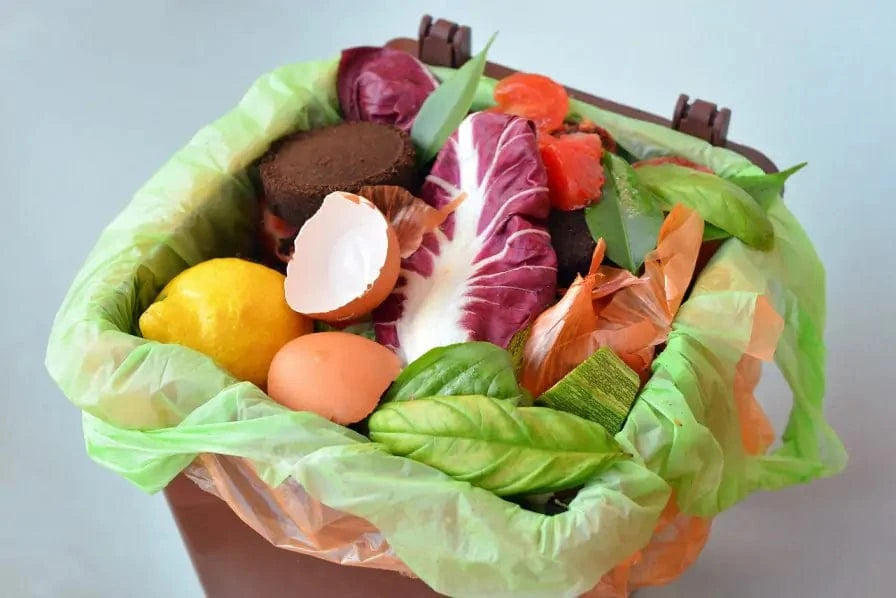 Compostable Kitchen Bin