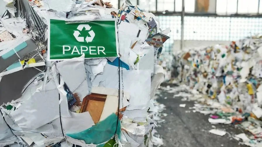 Paper Recycling Facility
