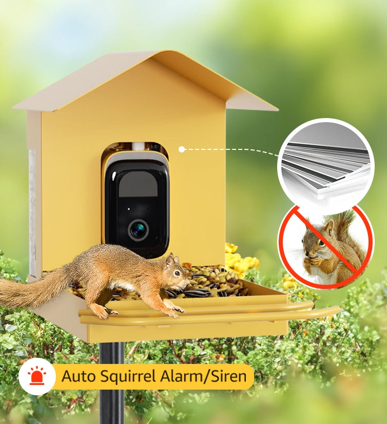 squirrel proof camera bird feeder