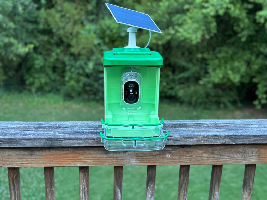 Bilantan Birdhi Smart bird feeder