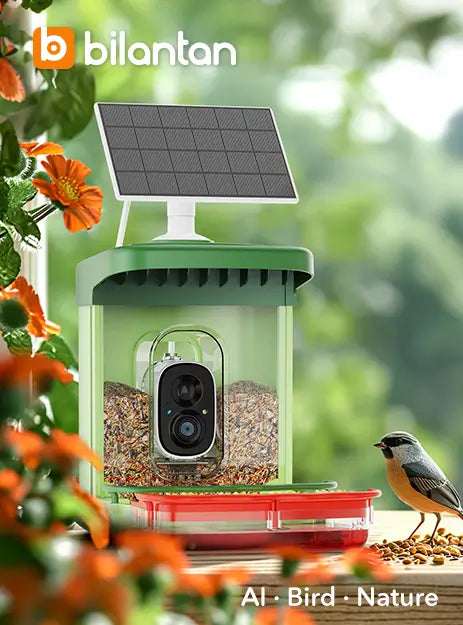 BirdHi Ultra Smart Bird Feeder with Camera