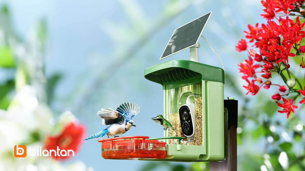 Bilantan bird feeder winter use guide