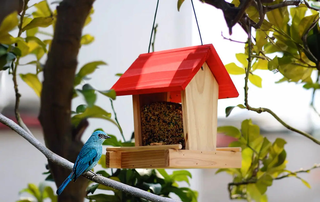 Handmade personalized feeders