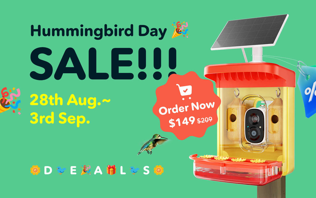 Hummingbird Day Sale！28th Aug.~3rd Sep. /$60 off HummerHi/