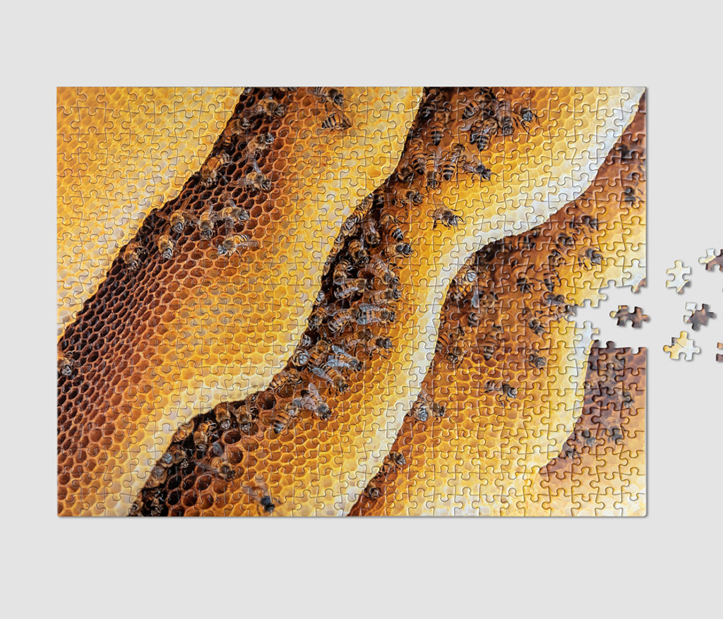 Shop Printworks Puzzle - Bee (500 Pieces)