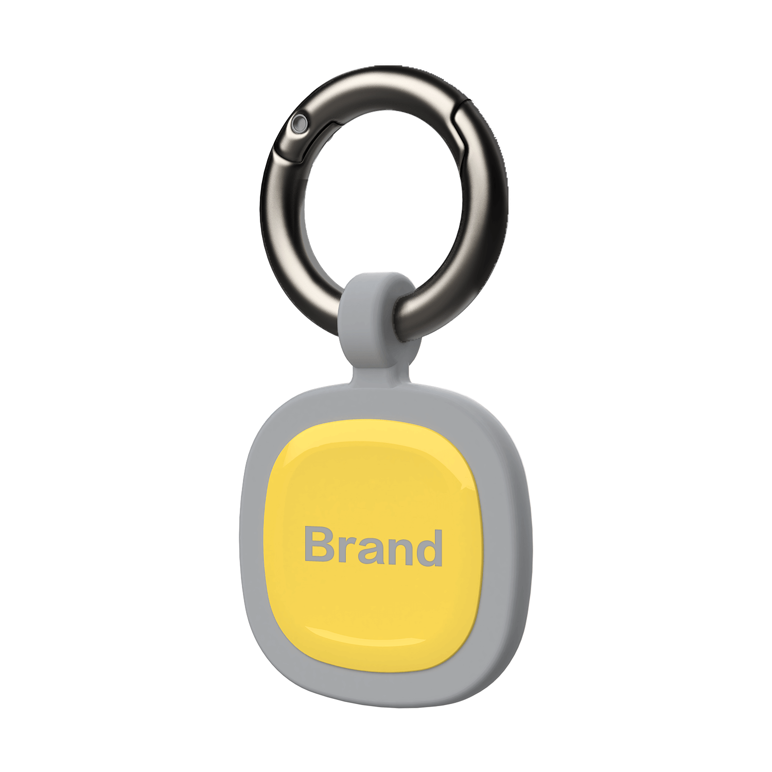 Customizied Pet ID Tag