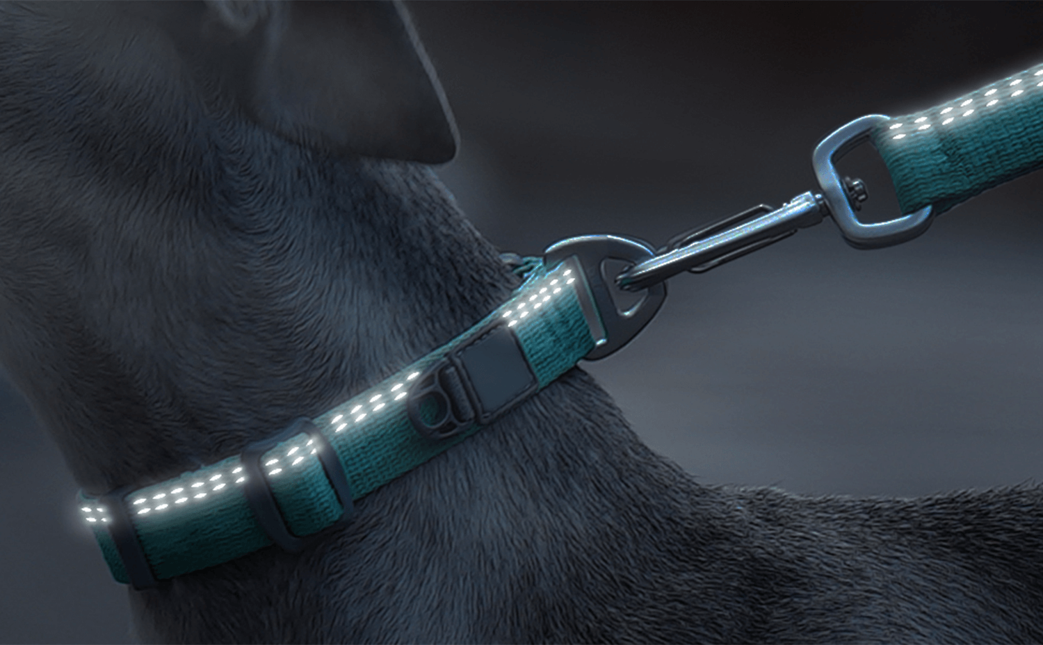 Custom Adjustable Luxury Lead Walk Small Pet Dog Collar Leashes Set