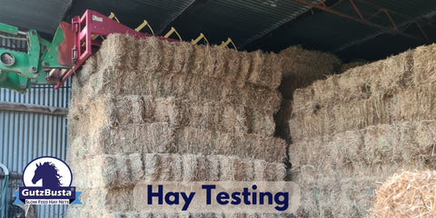 Testing the Hay!