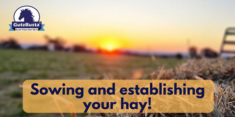 Slow Hay and stablishing your hay