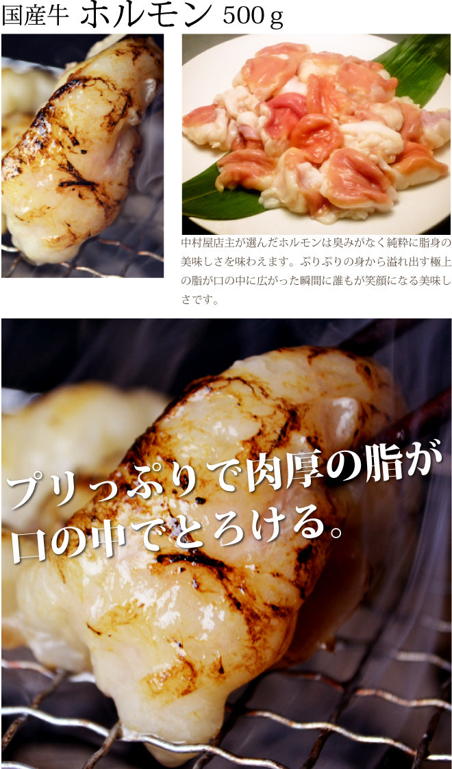 国産牛 ホルモン2種セット