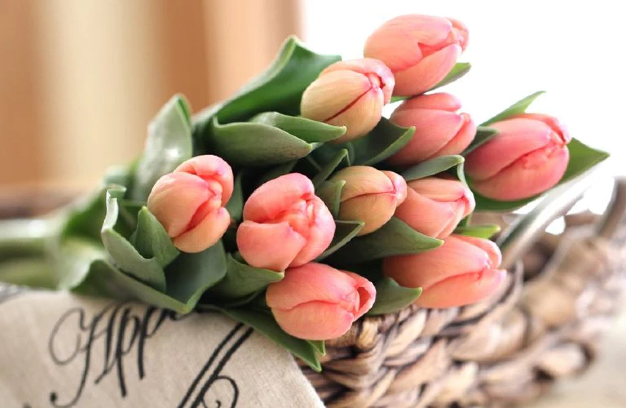 Arti Bunga Tulip