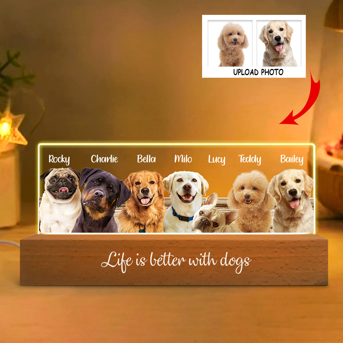 Discover Life Is Better With Dogs Cats - Personalized Dog Custom LED Night Light