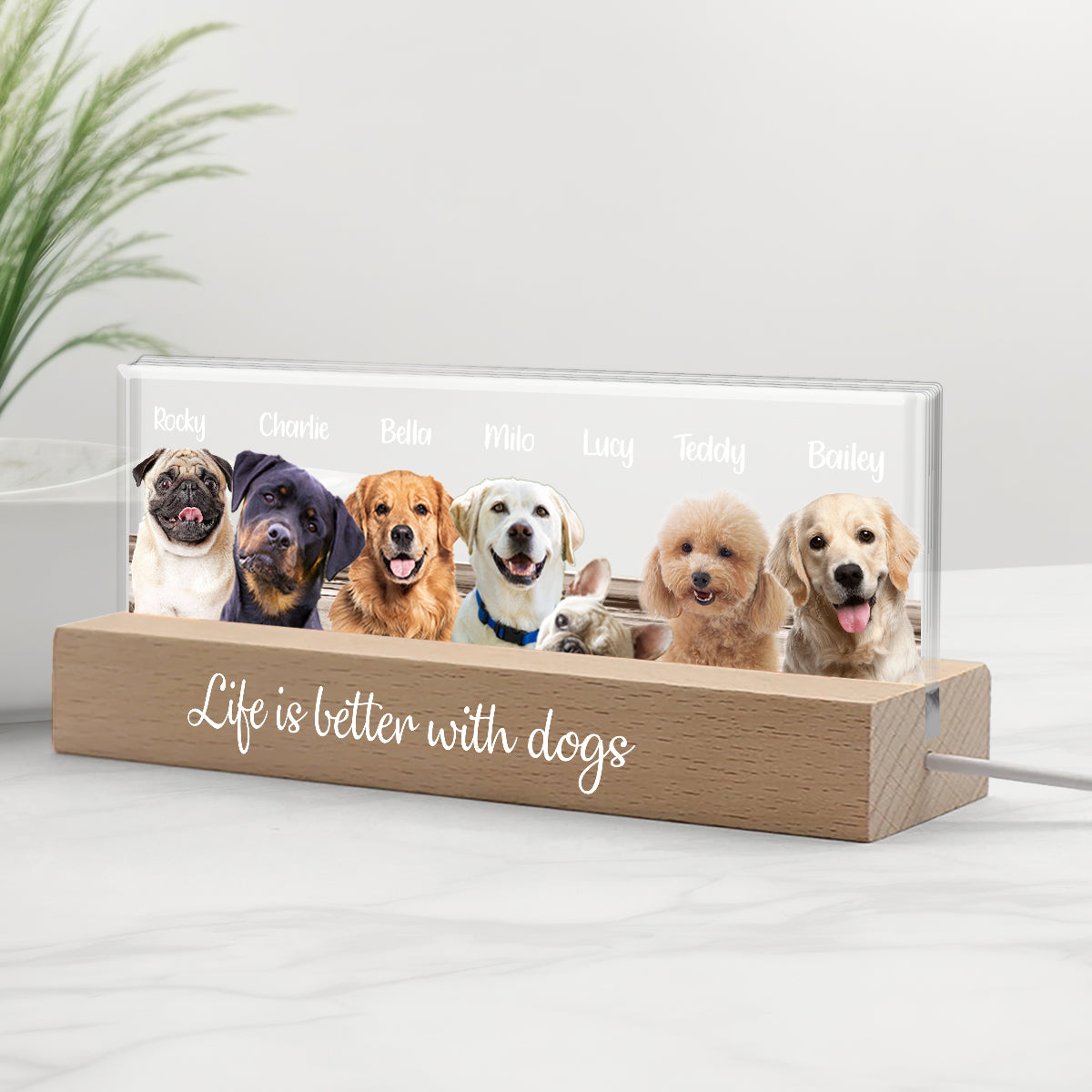 Life Is Better With Dogs Cats - Personalized Dog Custom LED Night Light