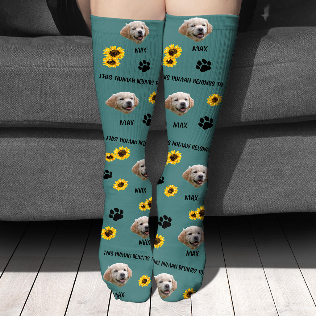 This Human Belongs To - Dog gift for cat lover - Personalized Socks