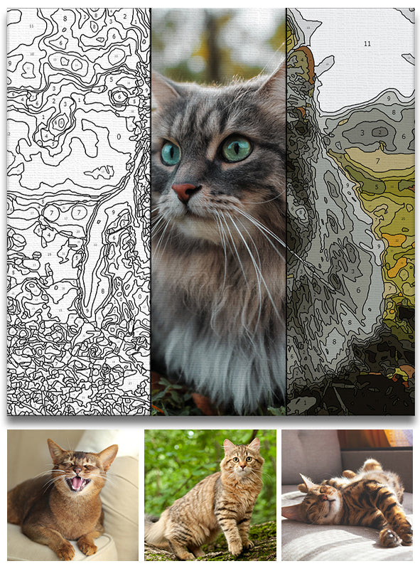 Custom Photo - Personalized Cat Paint By Numbers Kit