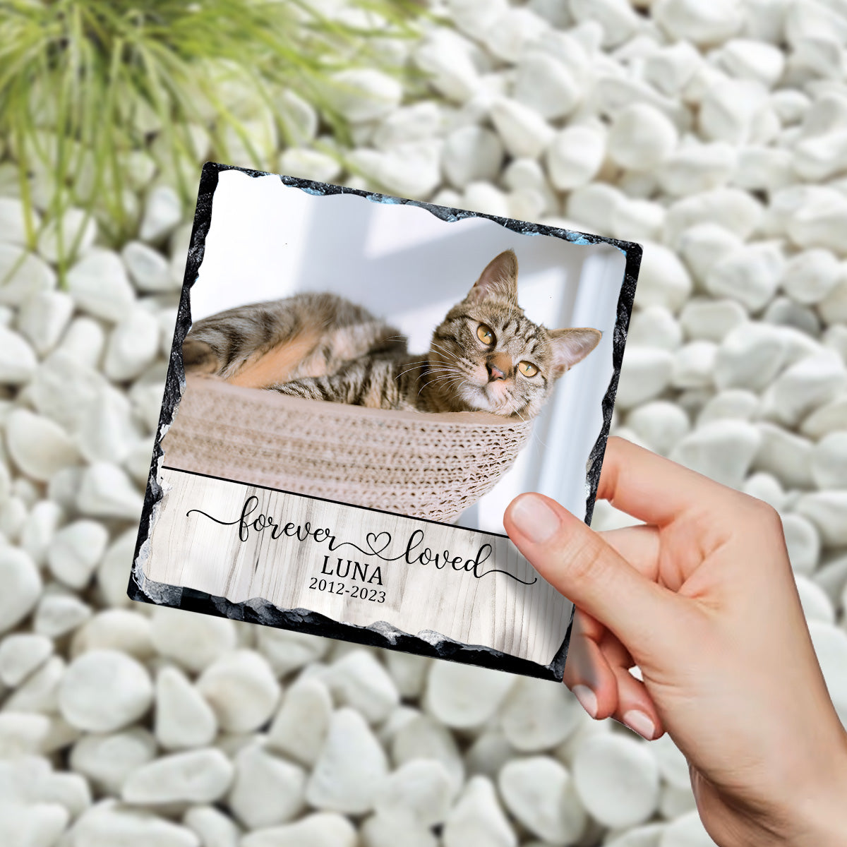 Forever Loved Cat Dog - Gift for dog lovers, who lost cat, who lost dog - Personalized Square Shaped Stone