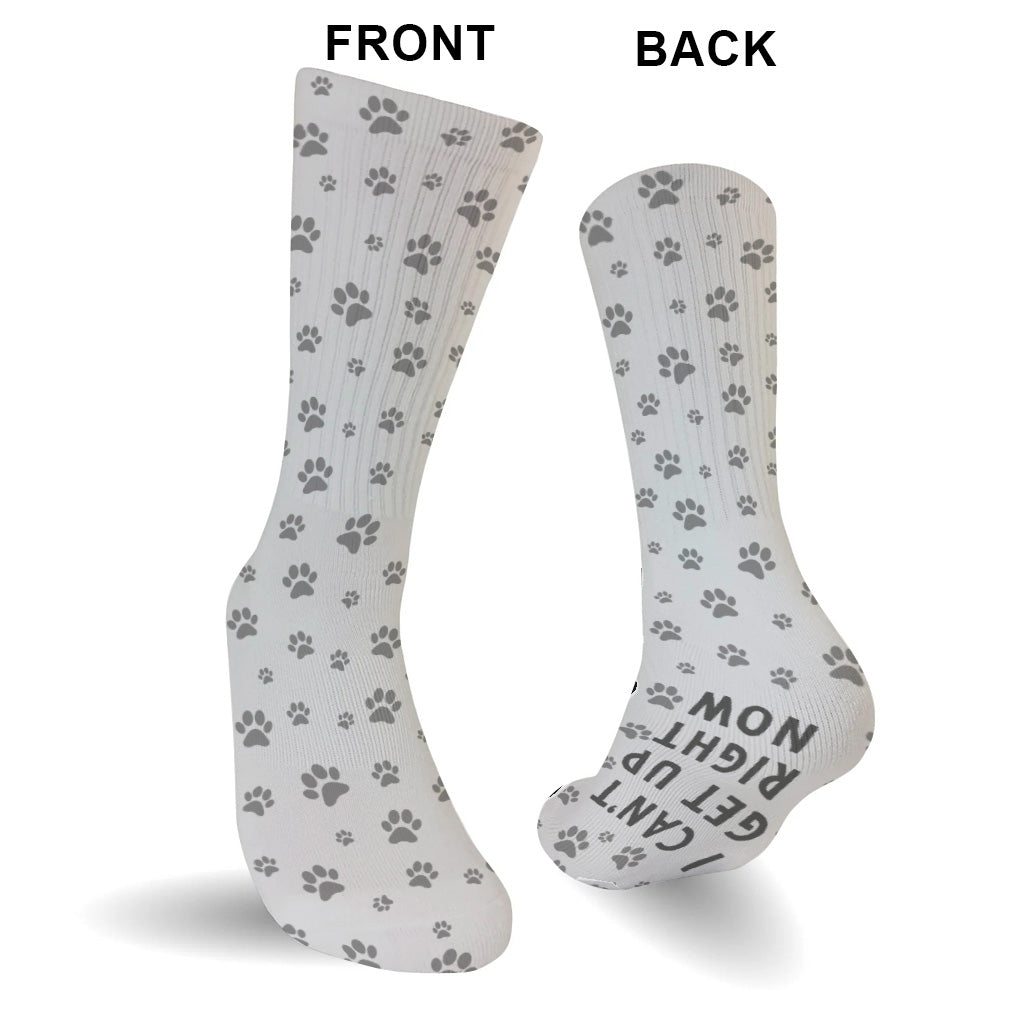 I Can Get Up Right Now - Cat gift for dog lover - Personalized Socks