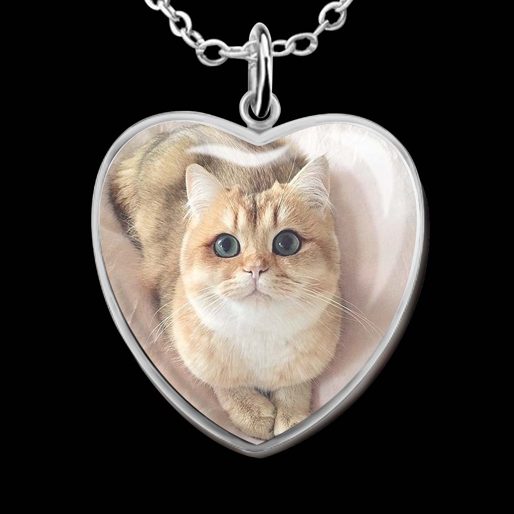 Don't Cry For Me Mom - Personalized Mother's Day Cat Heart Pendant Necklace