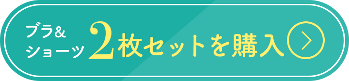 ブラ&ショーツ 2枚セットを購入