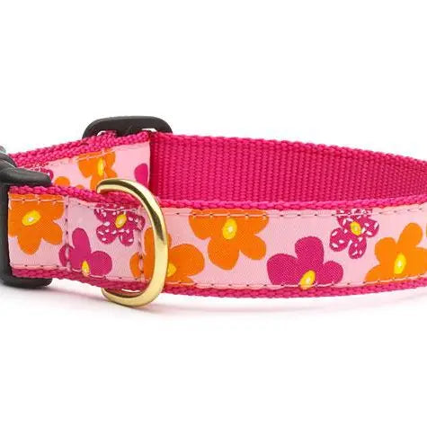 Up Country Flower Power Dog Collar
