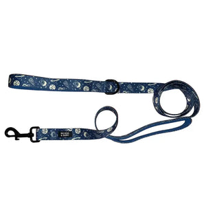 I Need Space Traffic Lead Leash by Big Dog & Skippy - Dog Daze - Dog Traffic Leash