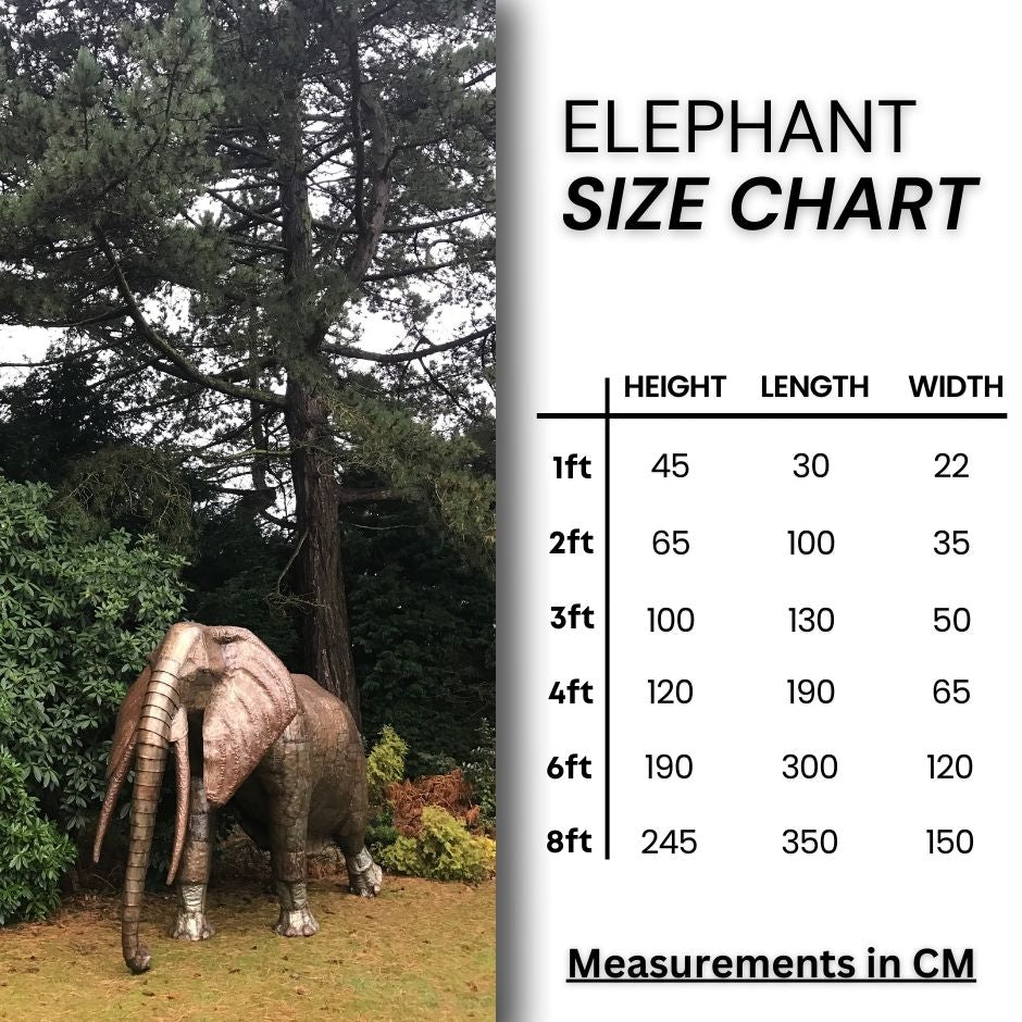 Elephant Size CHart