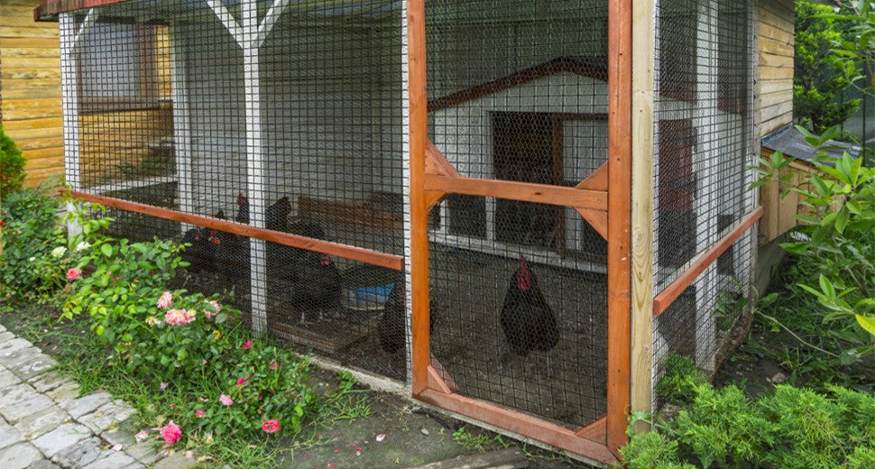 GARVEE Black Hardware Cloth 36x50 Inch Mesh Poultry Enclosures Protection for Garden Pet