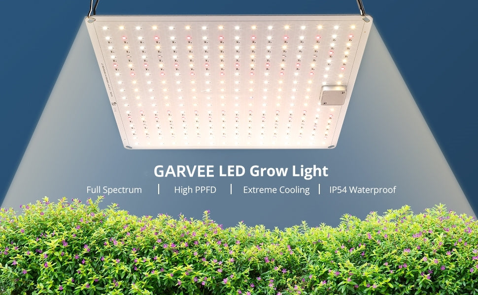 GARVEE LED Grow Light 3x3ft Coverage with New Full Spectrum 100 Watt Plant Growing Lamps 2 Packs
